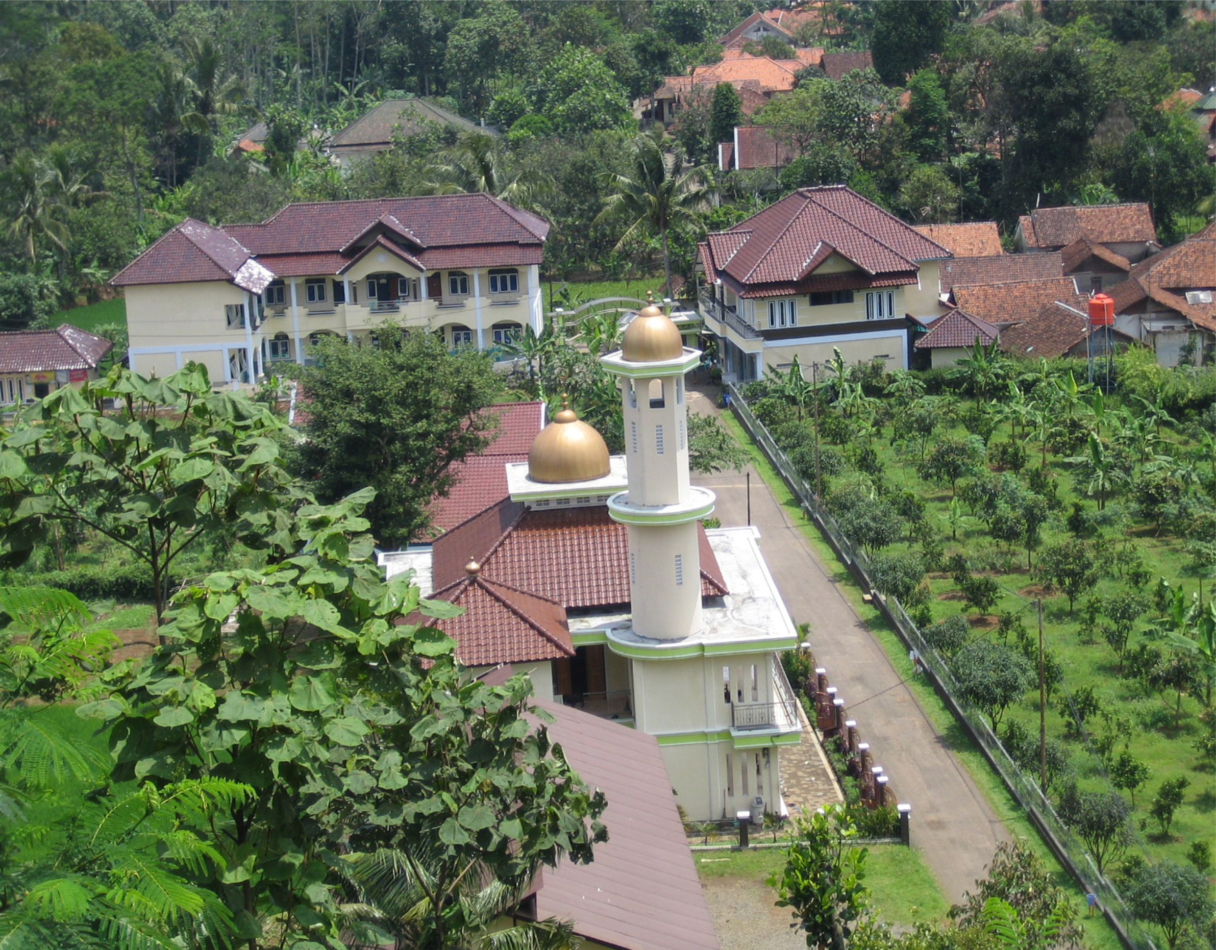 Tovuq jinsiy aloqa video Akrobatika kauchuk jinsiy aloqa