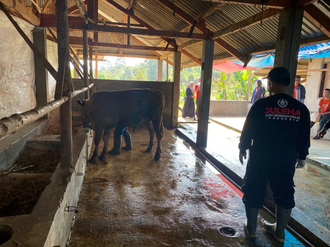 photo_2024-06-17_09-22-17