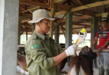 Dinas Peternakan Subang Lakukan Pemeriksaan Kesehatan Hewan Qurban Assyifa Peduli