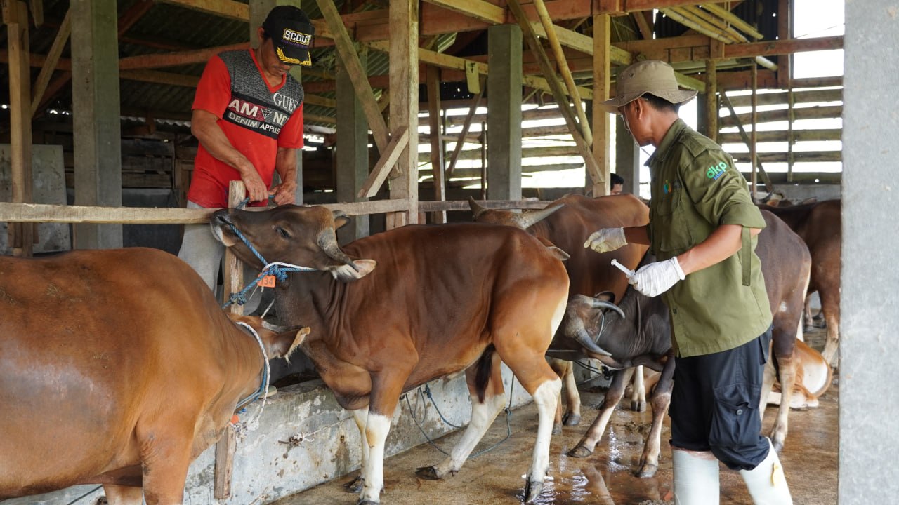 photo 2026 04 23 14 49 27