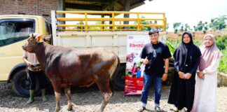 Qurban Bahagia: Hadirkan Keberkahan, Menyempurnakan Amanah, dan Memaksimalkan Manfaat